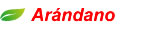 Arndano